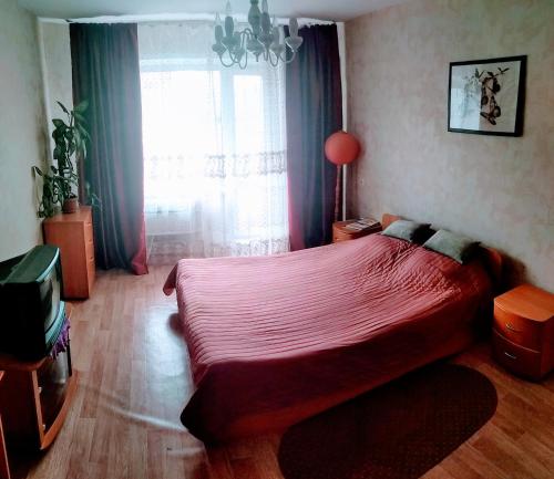 オムスクにあるApartment on 70 let Oktyabryaのベッドルーム(大型ベッド1台、窓付)