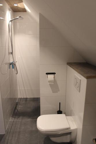 a bathroom with a toilet and a shower at De Weije Wereld in Sint-Oedenrode