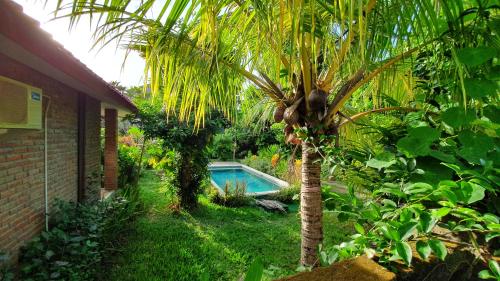 a palm tree and a swimming pool next to a house at Timbis Homestay Bali in Nusa Dua
