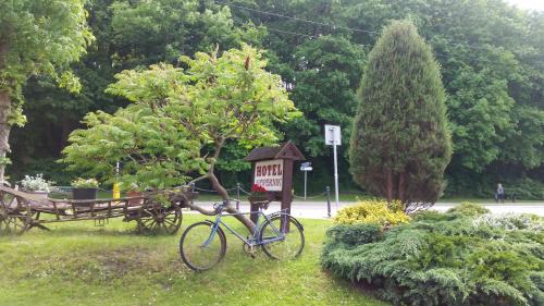 Hotel Kopernikにある庭
