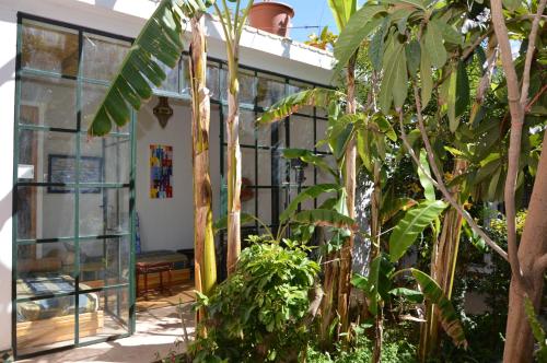a house with a bunch of trees in front of it at RIAD OASIS D'ASILAH in Asilah