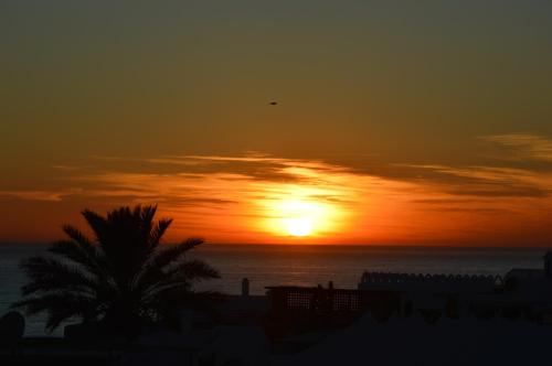 a sunset on the beach with a palm tree at RIAD OASIS D'ASILAH in Asilah