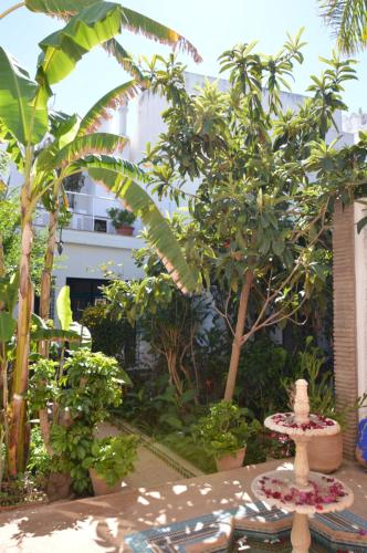 a garden with trees and a statue in the middle at RIAD OASIS D'ASILAH in Asilah