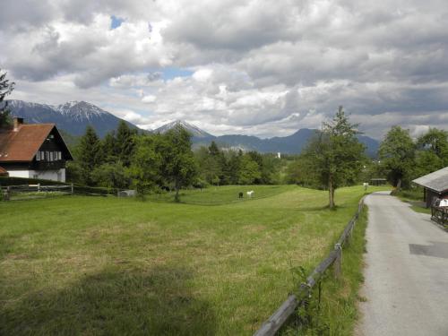 een grasveld met bergen op de achtergrond bij Pr' Hribar in Zgornje Gorje