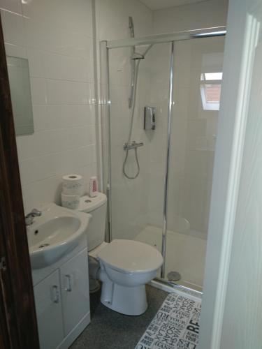 a bathroom with a toilet and a shower and a sink at 2 Wood Yard Cottages, Red Mayes Farm in Spalding