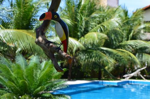 a colorful bird perched on a tree branch next to a pool at Chill Mango in Paracuru