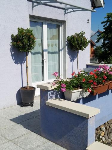 a window with three potted plants on the side of a building at Les mésanges de l'Ill in Andolsheim