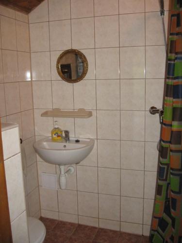 a bathroom with a sink and a mirror and a toilet at Chaty u Loveckého zámečku in Buchlovice