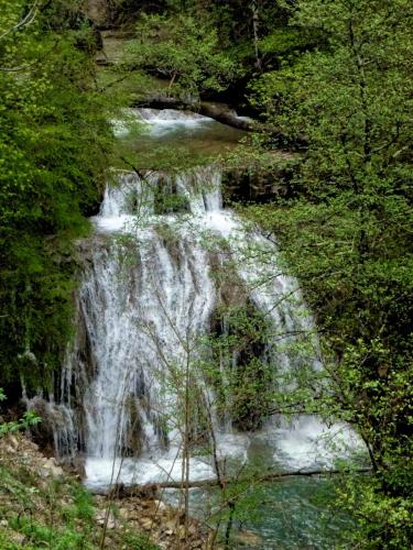 a waterfall in the middle of a forest at Albergo Ristorante Terme in Acquasanta Terme
