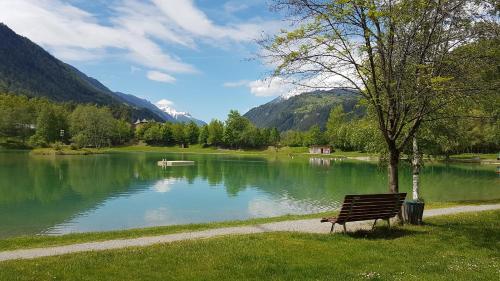 a park bench sitting in front of a lake at Alpen Apart Heiss - DELUXE XL Apartments in Prutz