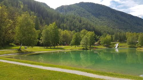a lake in the middle of a field with a mountain at Alpen Apart Heiss - DELUXE XL Apartments in Prutz
