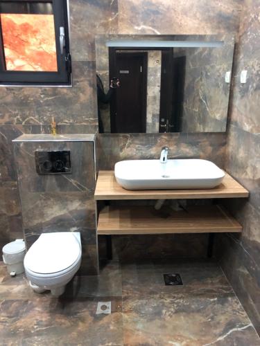 a bathroom with a sink and a toilet at Apart Lux Beciragic in Dobra Voda