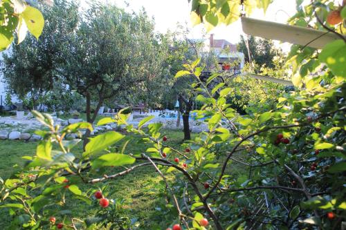 Zahrada ubytování Villa Maria