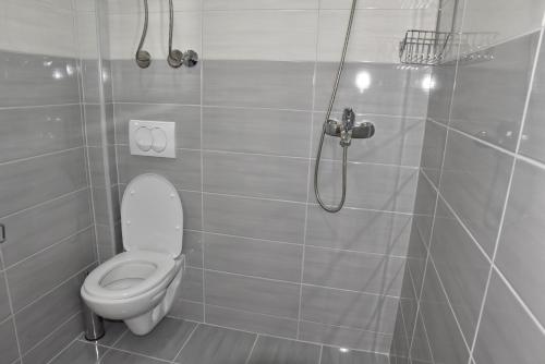 a bathroom with a toilet and a shower at Vila Cattleya in Donji Štoj