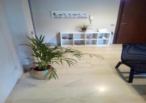 a living room with a chair and a potted plant at Karditsa Home Sweet Home 80 τ.μ in Kardítsa