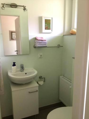 a bathroom with a sink and a toilet and a mirror at Ferienhaus Am Yachthafen in Rendsburg