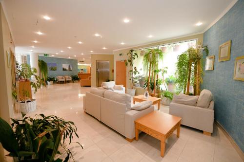 a living room with couches and potted plants at Hotel Do Campo in Ribeira Brava