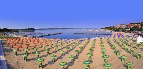 アパートメントの近くで見られる自然の景観