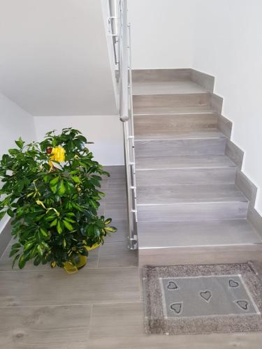 a stairwell with a plant next to a metal staircase at Appartamenti Edia in Lampedusa