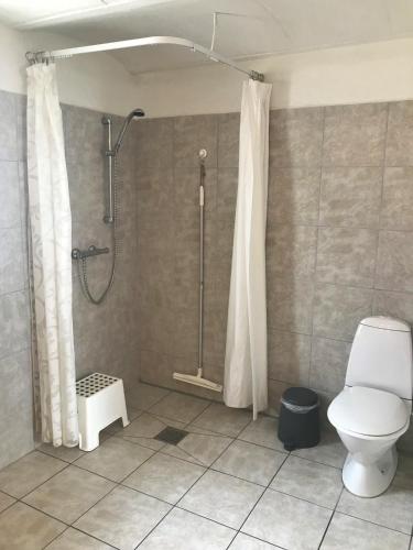 a bathroom with a shower and a toilet at Brunbjerg Apartments in Billund