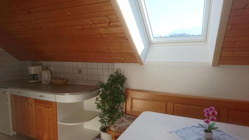 eine Küche mit einem Waschbecken und einem Fenster in der Unterkunft Apartmaji Marinka Hodnik in Bohinj