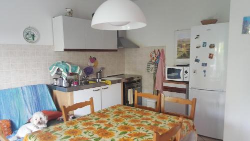 a kitchen with a table and a dog sitting at a table at condominio vite in Misano Adriatico