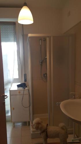 uma casa de banho com um chuveiro e um lavatório. em condominio vite em Misano Adriatico