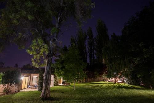a tree in the yard of a house at night at Casa La Galeana - Eco Boutique in Chacras de Coria