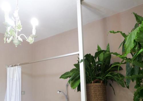 a mirror in a bathroom with a plant at La Finestra sul Fiume in Fossombrone