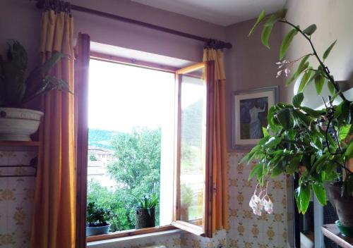 a window in a room with curtains and a plant at La Finestra sul Fiume in Fossombrone