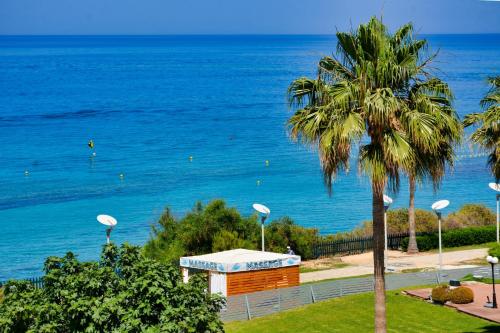 a palm tree and a building next to the ocean at Seafront Protaras Villas in Protaras