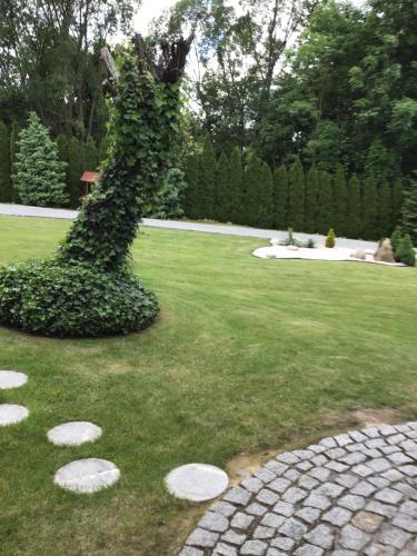 a tree covered in ivy sitting on top of a lawn at Agroturystyka Krajno - Zagórze in Krajno-Zagórze