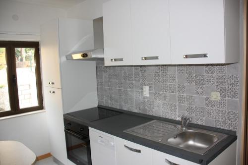 a kitchen with a sink and a counter top at Guesthouse Santor in Lastovo