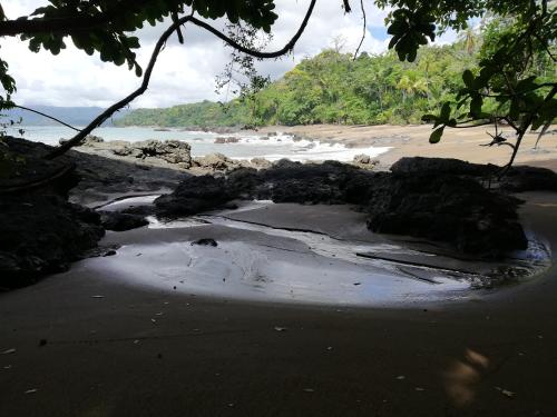 a black beach with rocks and the ocean at Garden of Heliconias Lodge in Drake