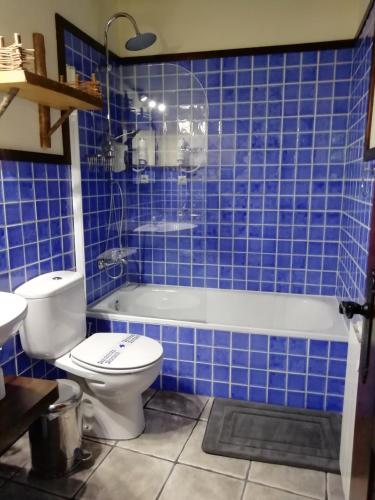 a blue tiled bathroom with a toilet and a tub at Apartamentos Samelar in Camaleño