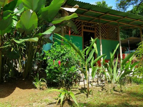 a house with a bunch of plants in front of it at Garden of Heliconias Lodge in Drake