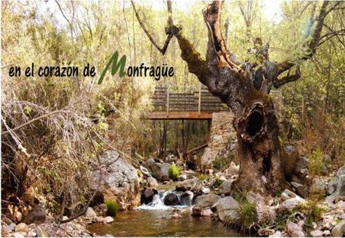 a picture of a bridge over a river with a tree at Nido Menas in Torrejón el Rubio