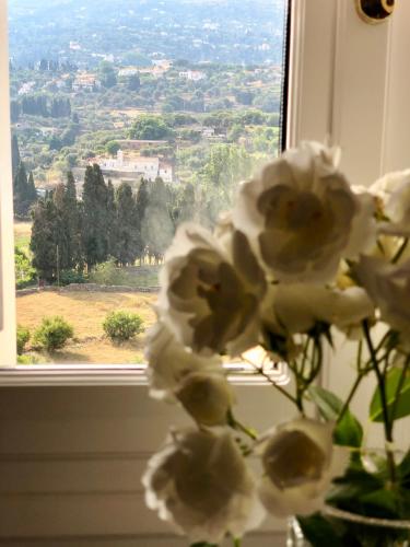 Φωτογραφία από το άλμπουμ του Villa Andros Époque στην Άνδρο