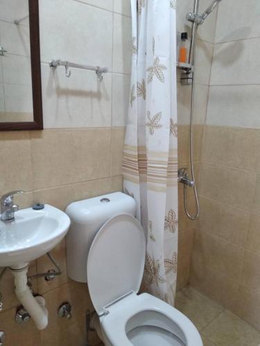 a bathroom with a toilet and a sink at Sweet Dream Rooms in Podgorica