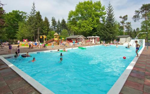 Het zwembad bij of vlak bij Chalet Descansar op de Veluwe