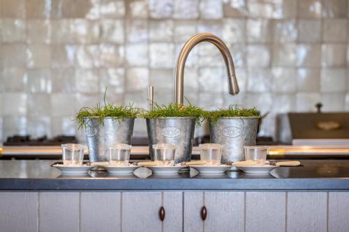 a kitchen counter with three buckets with plants in them at Boutique B&B Droomkerke in Ruiselede