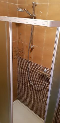 a shower with a shower head in a bathroom at Casa Andreola in Valfurva