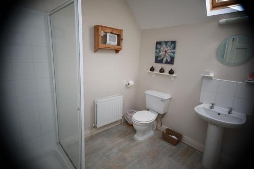 Un baño con ducha, inodoro y lavabo. en Alices Loft & Cottages, en Castleblayney