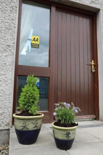 two potted plants sitting in front of a door at Alices Loft & Cottages in Castleblayney