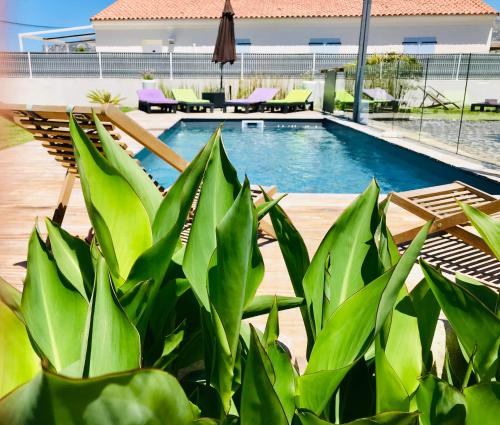 Πισίνα στο ή κοντά στο Villa entre Mer et Montagne...