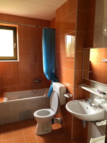 a bathroom with a toilet and a sink and a tub at APARTMANI PETRIJA in Prčanj