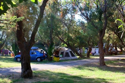 a group of tents and cars in a park with trees at Camping Mithimna in Kissamos