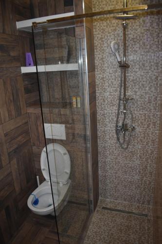 a shower stall with a toilet in a bathroom at De Lux Apartment Maki in Banja Luka