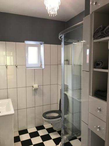 ein Bad mit einem WC und einer Glasdusche in der Unterkunft Villa Trófea in Hévíz