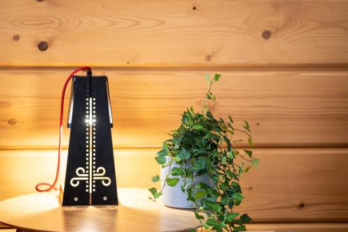 a book sitting on a table next to a potted plant at Willa Ryś in Zakopane